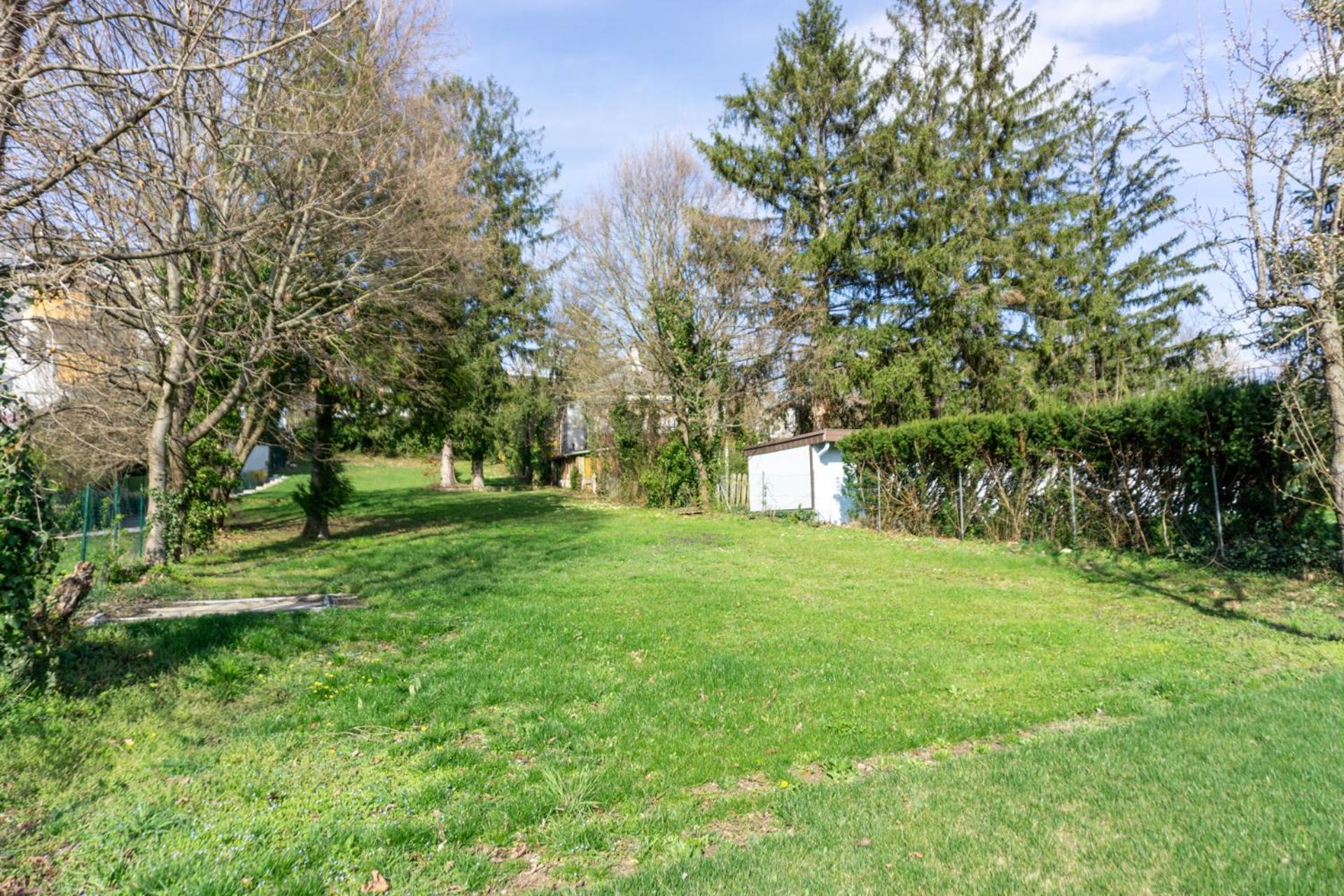 Next To Stadion, Near To Lainzer Tiergarten Apartment Vienna Exterior photo